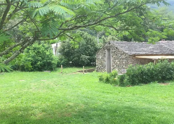 Olivetu